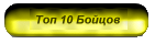 Топ 10 Бойцов